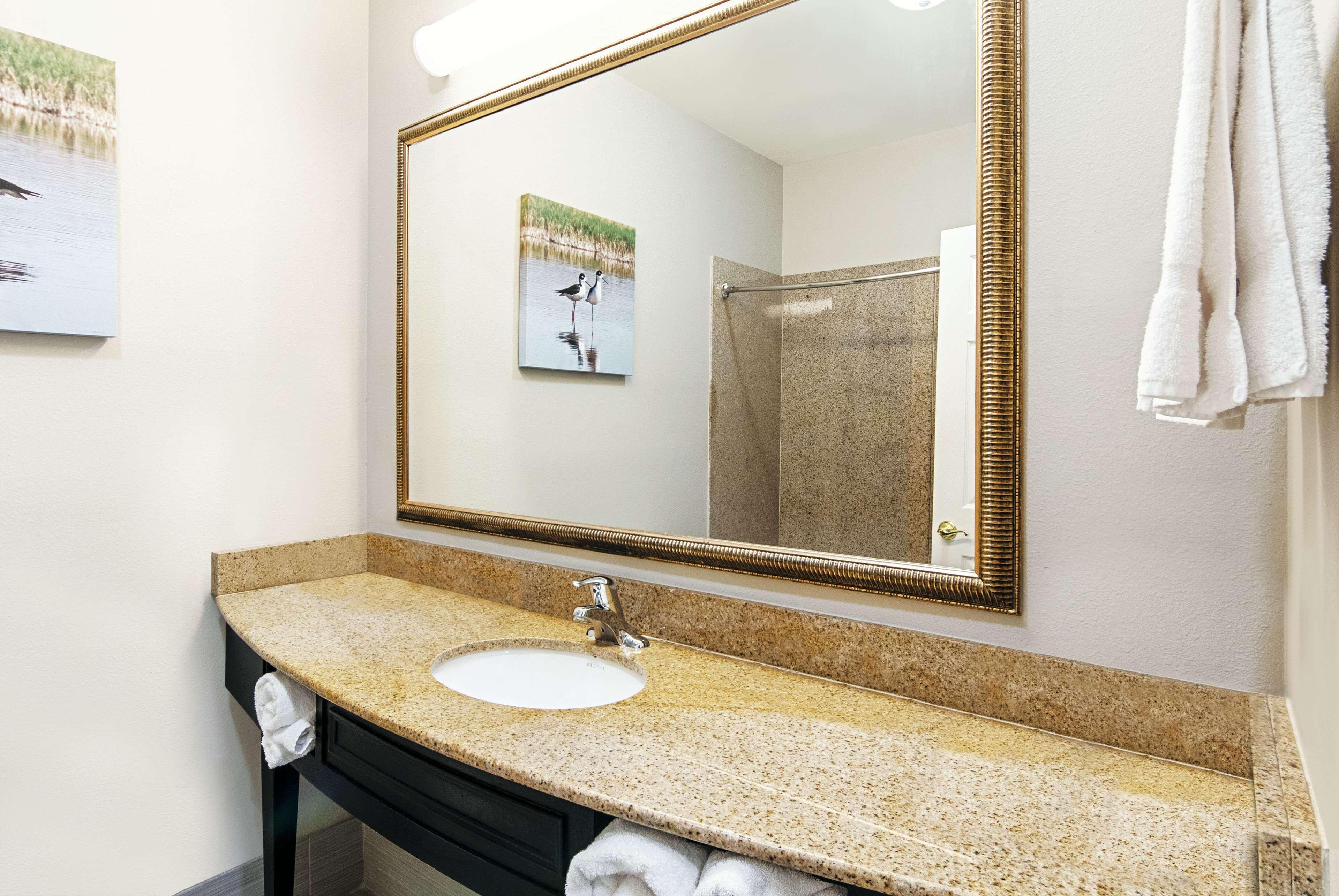 La Quinta By Wyndham Alamo-Mcallen East Εξωτερικό φωτογραφία